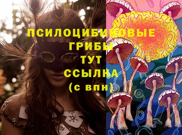 кокаин Новодвинск