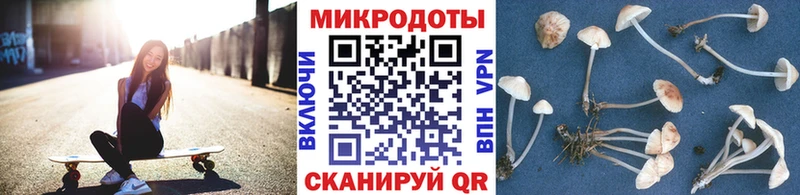 Галлюциногенные грибы GOLDEN TEACHER  кракен сайт  Вольск 