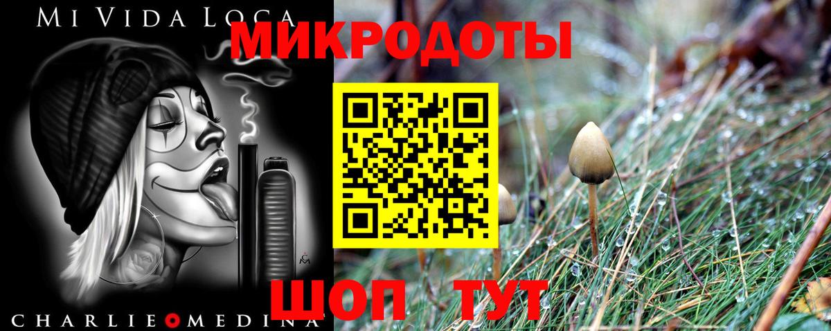 Псилоцибиновые грибы мицелий Вольск