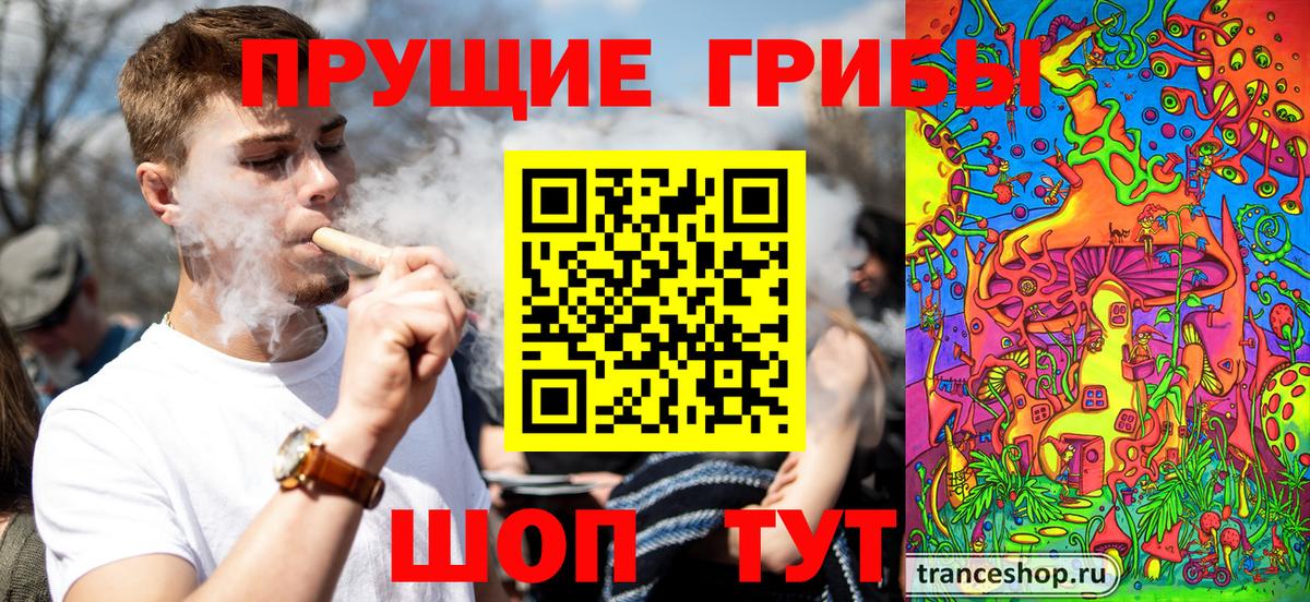 Псилоцибиновые грибы GOLDEN TEACHER  Вход с VPN  Вольск 