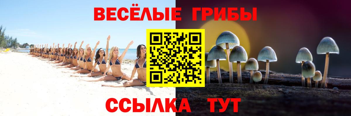 Галлюциногенные грибы Psilocybe Вольск